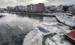 Çanakkale sahillerinde müsilaj görülmeye başlandı