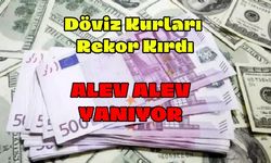 Döviz Kurları Rekor Kırdı: Dolar ve Euro Alev Alev Yanıyor