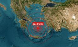 Ege Denizi'ndeki hareketlilik nedeniyle Niyoz Adası'nda olağanüstü hal ilan edildi