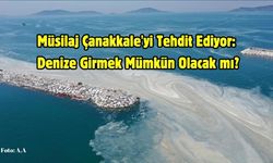 Müsilaj Çanakkale'yi Tehdit Ediyor: Denize Girmek Mümkün Olacak mı?