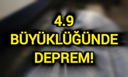 4.9 büyüklüğünde deprem!