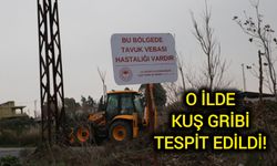 O ilde kuş gribi tespit edildi!