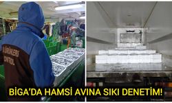 Çanakkale Biga’da hamsi avına sıkı denetim!