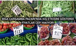 Biga Çarşamba Pazarı’nda Kış Etkisini Gösterdi: Fiyatlar Cep Yakıyor!