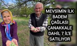 Mevsimin ilk badem çağlası Çanakkale dahil 7 il’e satılıyor