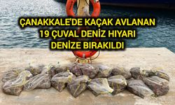 Çanakkale'de kaçak avlanan 19 çuval deniz hıyarı denize bırakıldı