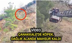 Çanakkale'de köpek, dağlık alanda mahsur kaldı