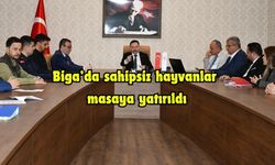 Biga’da sahipsiz hayvanlar masaya yatırıldı