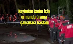 Kaybolan kadın için  ormanda arama  çalışması başladı (Videolu)