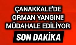 Çanakkale'de Orman Yangını! Müdahale ediliyor