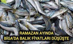 Ramazan ayında Biga’da balık fiyatları düşüşte