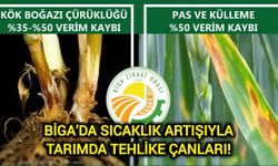 Çanakkale Biga’da sıcaklık artışıyla tarımda tehlike çanları!