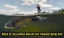 Biga iç sularda balık avı yasağı başladı