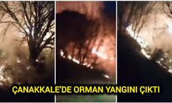 Çanakkale’de Orman Yangını Çıktı