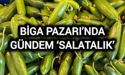 Biga Pazarı’nda gündem ‘salatalık’