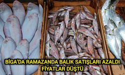 Biga’da Ramazanda balık satışları azaldı fiyatlar düştü