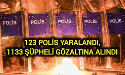 123 polis yaralandı, 1133 şüpheli gözaltına alındı