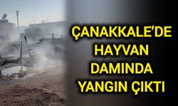 Çanakkale’de Hayvan Damında Yangın Çıktı