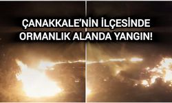 Çanakkale’nin ilçesinde ormanlık alanda yangın!