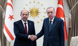 Cumhurbaşkanı Erdoğan, Tatar ile görüştü