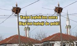 Yaren Leylek'ten sonra Biga’nın leyleği de geldi!