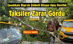 Çanakkale Biga’da Şiddetli rüzgar: Ağaç devrildi, taksiler zarar gördü