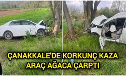 Çanakkale'de Korkunç Kaza: Araç Ağaca Çarptı