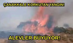 Çanakkale'de Korkutan Yangın! Alevler büyüyor