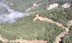 Çanakkale'de çıkan orman yangını söndürüldü