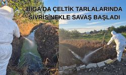Biga’da çeltik tarlalarında sivrisinekle savaş başladı