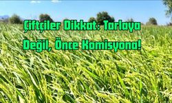 Çiftçiler Dikkat: Tarlaya Değil, Önce Komisyona!