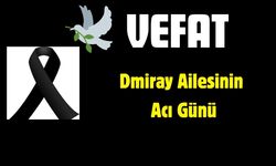 Demiray Ailesinin Acı Günü