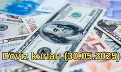 Döviz kurları (30.05.2025)