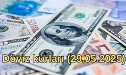 Döviz kurları (29.05.2025)