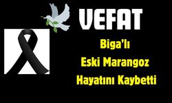 Biga’lı Eski Marangoz Hayatını Kaybetti