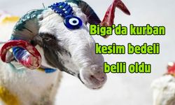 Biga’da kurban kesim bedeli belli oldu