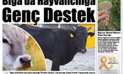 Çanakkale Biga'nın Sesi Gazetesi 31 Mayıs Cumartesi