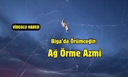 Biga’da Örümceğin Ağ Örme Azmi