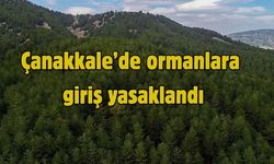 Çanakkale’de ormanlara giriş yasaklandı