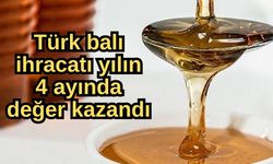 Türk balı ihracatı yılın 4 ayında değer kazandı