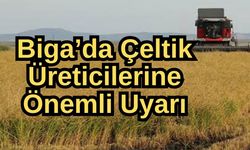 Biga’da çeltik üreticilerine önemli uyarı