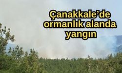 Çanakkale’de ormanlık alanda yangın