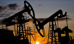 20 Yıllık Petrol Ruhsatı ve Kamulaştırma Kararı