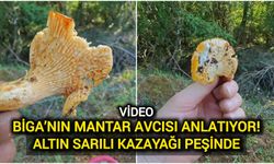 Biga’nın Mantar Avcısı Anlatıyor: Altın Sarılı Kazayağı Peşinde