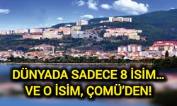 Dünyada Sadece 8 İsim… Ve O İsim, ÇOMÜ’den!