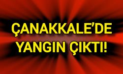Son Dakika: Çanakkale’de Yangın Çıktı!