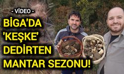 Biga'da 'Keşke' Dedirten Mantar Sezonu!