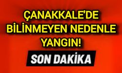 Çanakkale'de bilinmeyen nedenle yangın!