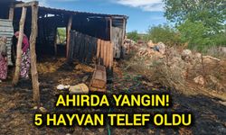 Ahırda Yangın: 5 Hayvan Telef Oldu!