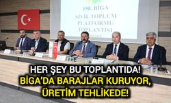 Çeltik mi Gelecek mi? Çanakkale Biga’da karar zamanı